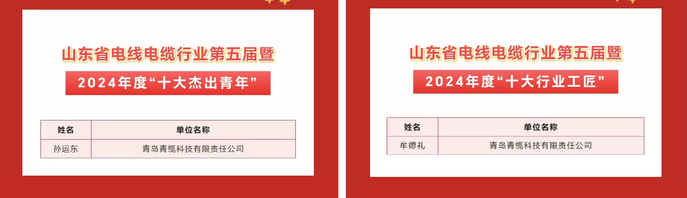 青纜職工獲評2024年度“十大杰出青年”及“十大行業(yè)工匠”(圖1)